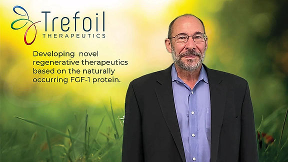 Trefoil: Developing Novel Regenerative Therapeutics Based on the Naturally Occurring FGF-1 Protein